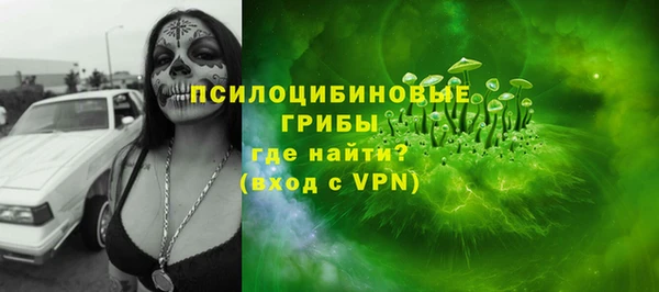 ECSTASY Абаза