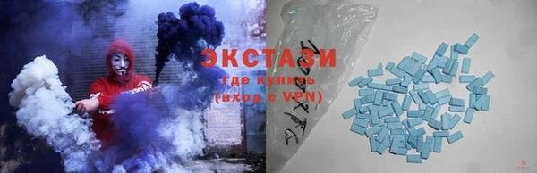 стаф Алзамай