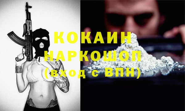 стаф Алзамай
