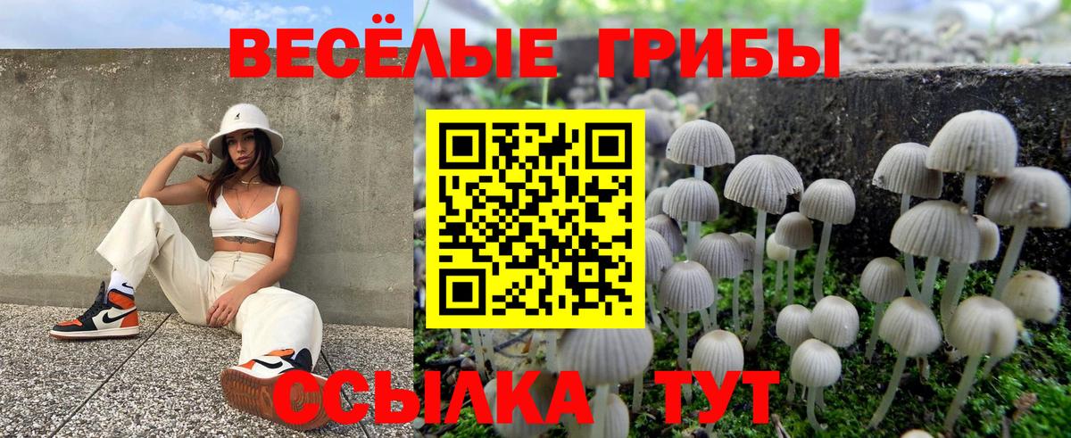 Галлюциногенные грибы Magic Shrooms  Вход с VPN  купить наркотики сайты  Сафоново 