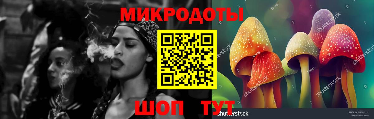 Псилоцибиновые грибы Psilocybe Сафоново